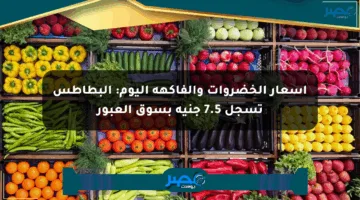 أسعار الخضروات والفاكهة اليوم: البطاطس تسجل 7.5 جنيه بسوق العبور